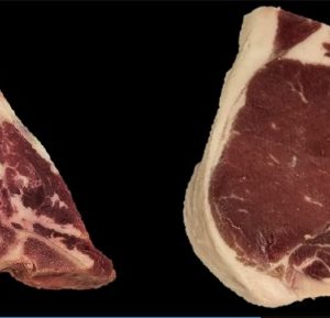 T-BONE STEAK GOLD